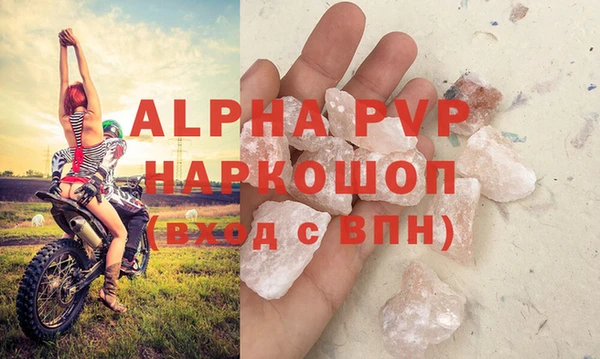 винт Лагань