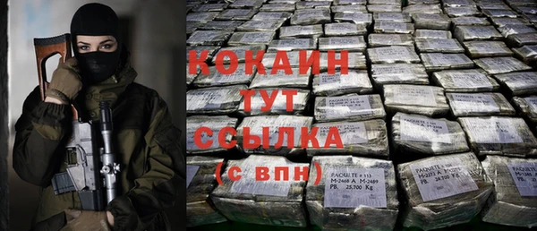 стаф Ладушкин