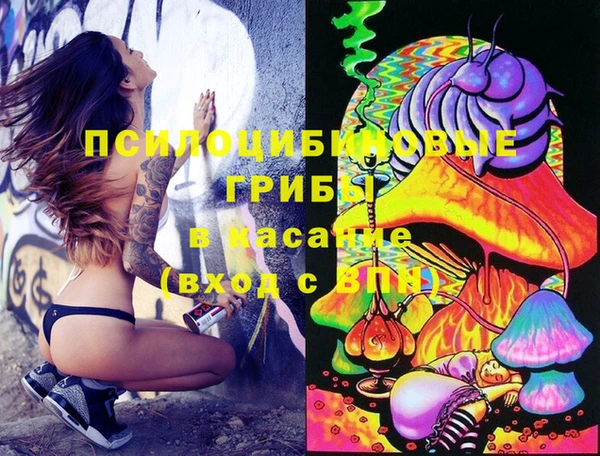 стаф Ладушкин