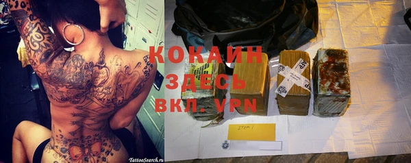 стаф Ладушкин
