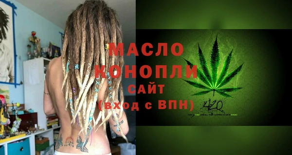 винт Лагань