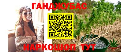 стафф Гусев