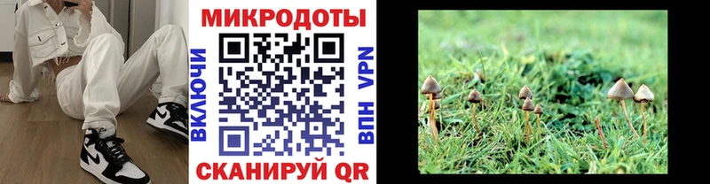 Галлюциногенные грибы ЛСД  Углич 