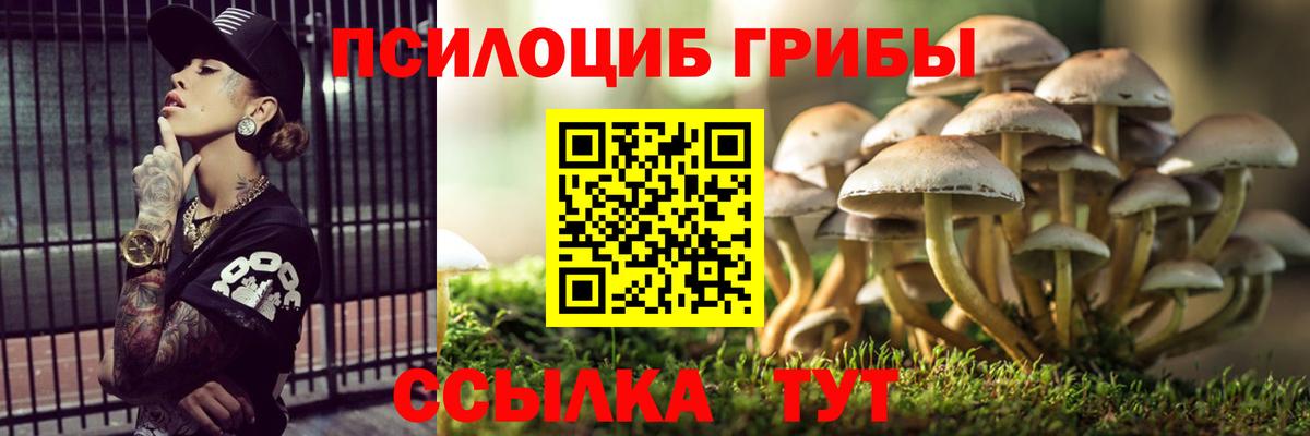 Псилоцибиновые грибы мицелий  Вход с VPN  Углич  Псилоцибиновые грибы мухоморы 